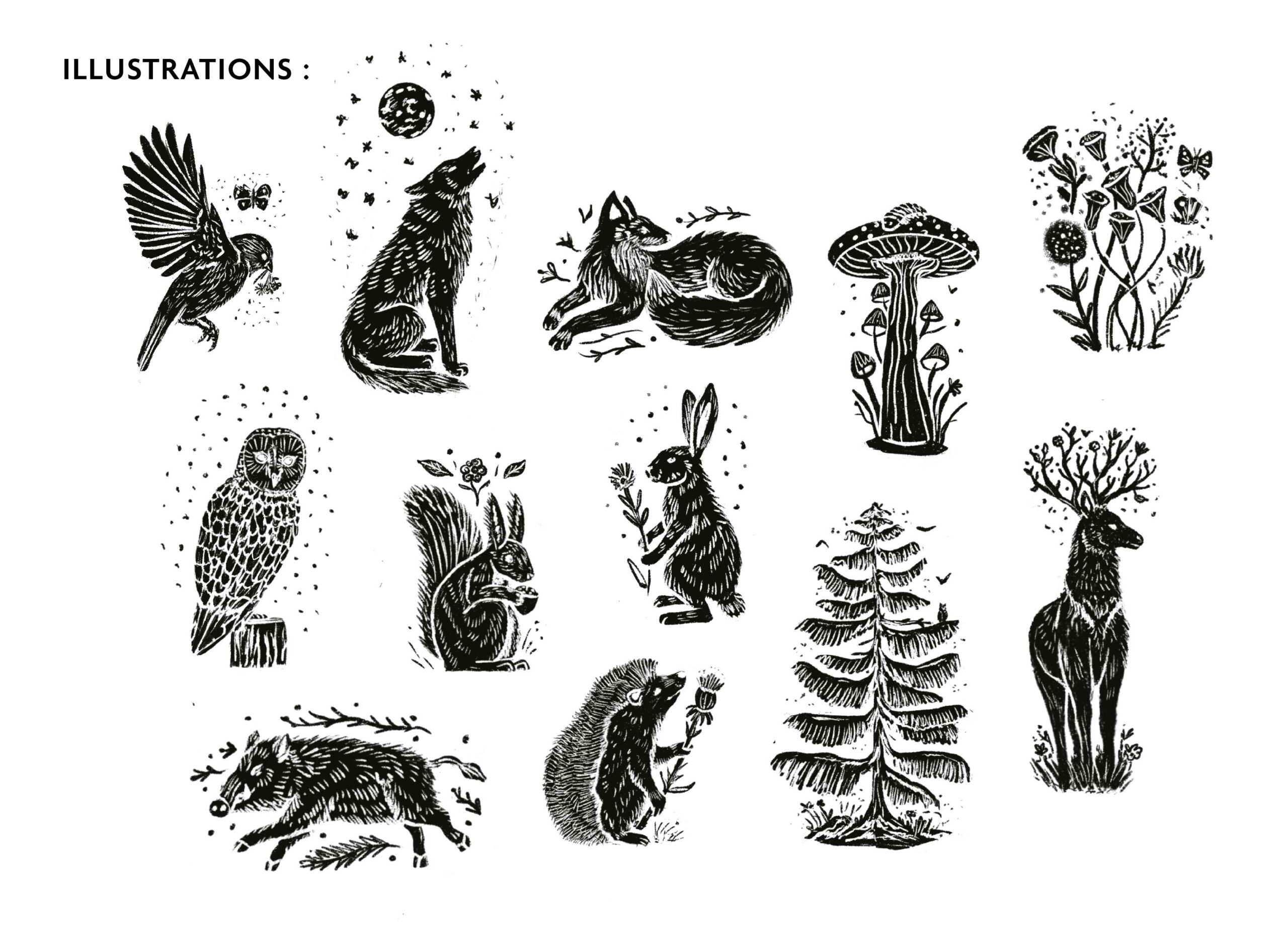 Illustrations Animaux Memory Game